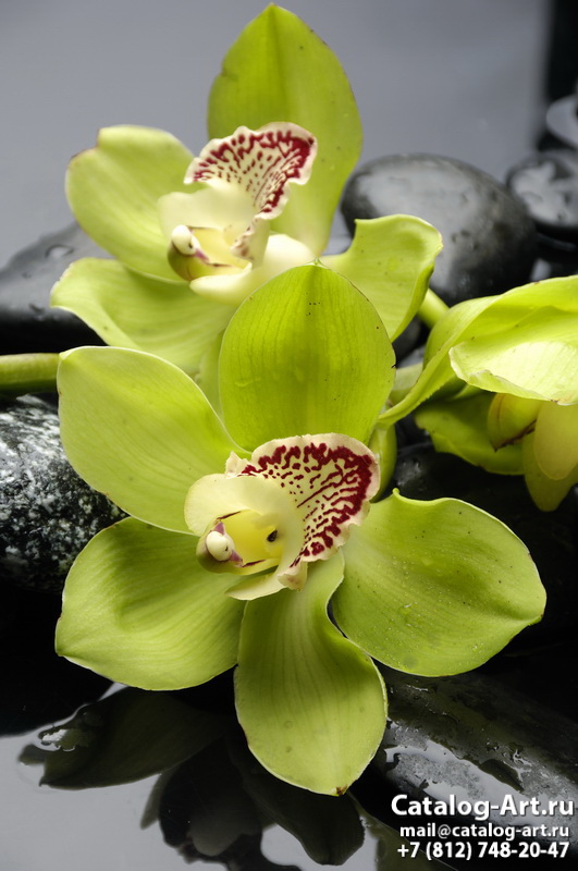 картинки для фотопечати на потолках, идеи, фото, образцы - Потолки с фотопечатью - Желтые и бежевые орхидеи 9